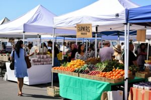 residents strolling through a farmers market near the coast